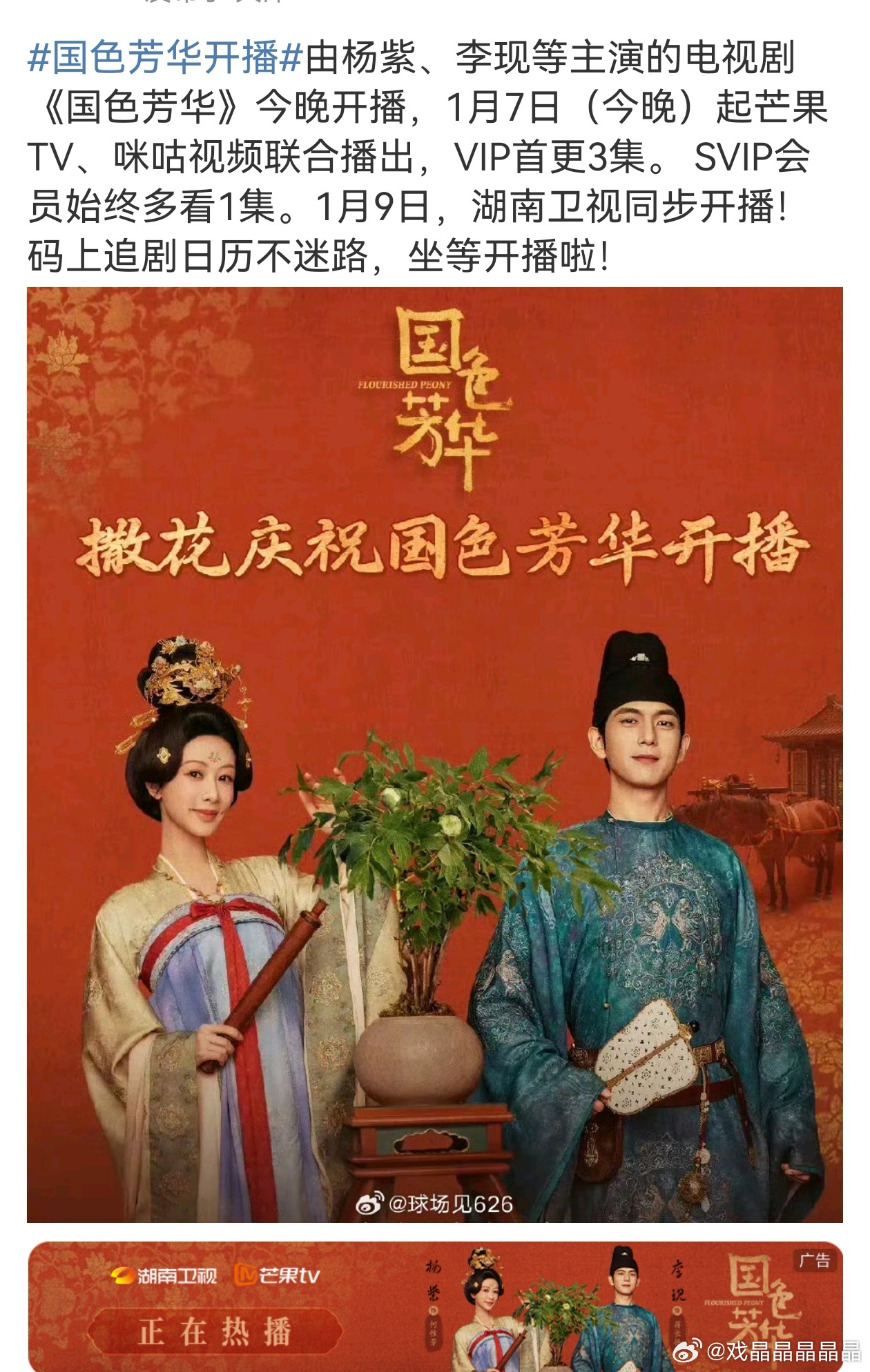 国色芳华与再见爱人，剧情交织的触动心灵之旅