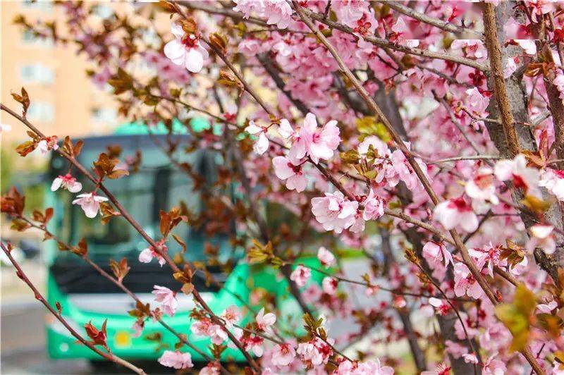 一路繁花观后感，从银幕中领略人生的绚烂多彩