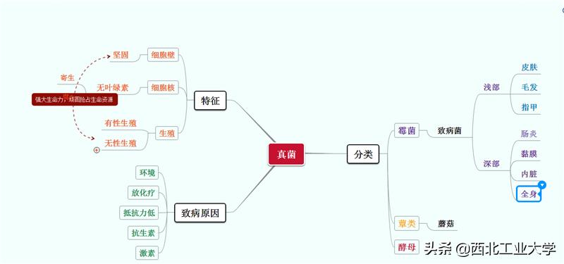 肺炎会引发败血症吗？揭秘真相，令人揪心！深度解析背后的健康隐患与预防之道。