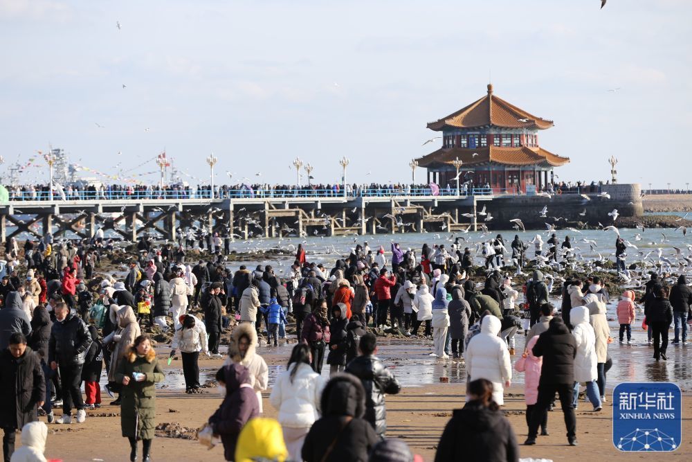 春节假期出游狂欢，超5亿人次国内游引爆旅游市场，未来趋势令人期待！揭秘数据背后的故事。