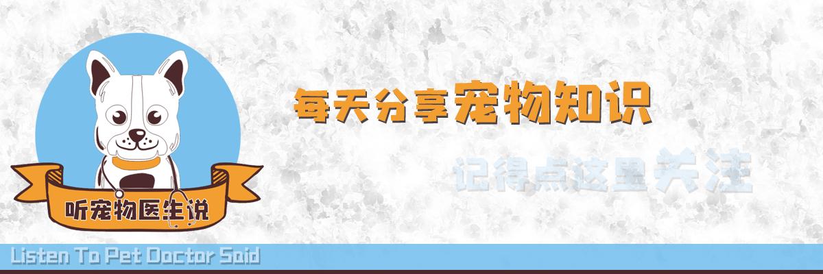 震惊！开学盛况下的谣言风波，当地小学并未倒闭！