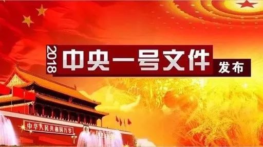 中央一号文件重磅出击，农村高额彩礼治理，究竟何去何从？揭秘未来新动向！揭开背后深层原因与解决方案。