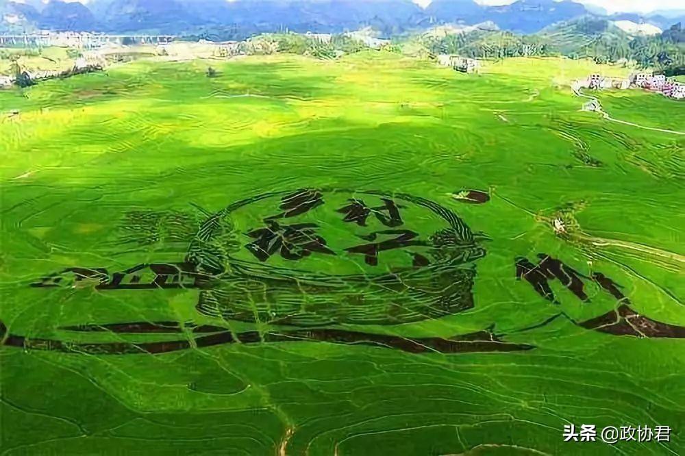 揭秘土地承包延长三十年背后的深层逻辑，未来农业发展的必然选择！究竟为何如此决策？深度剖析为您揭晓答案。