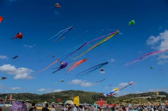 浙江海岛急聘守鸟人，独特生活挑战四重奏