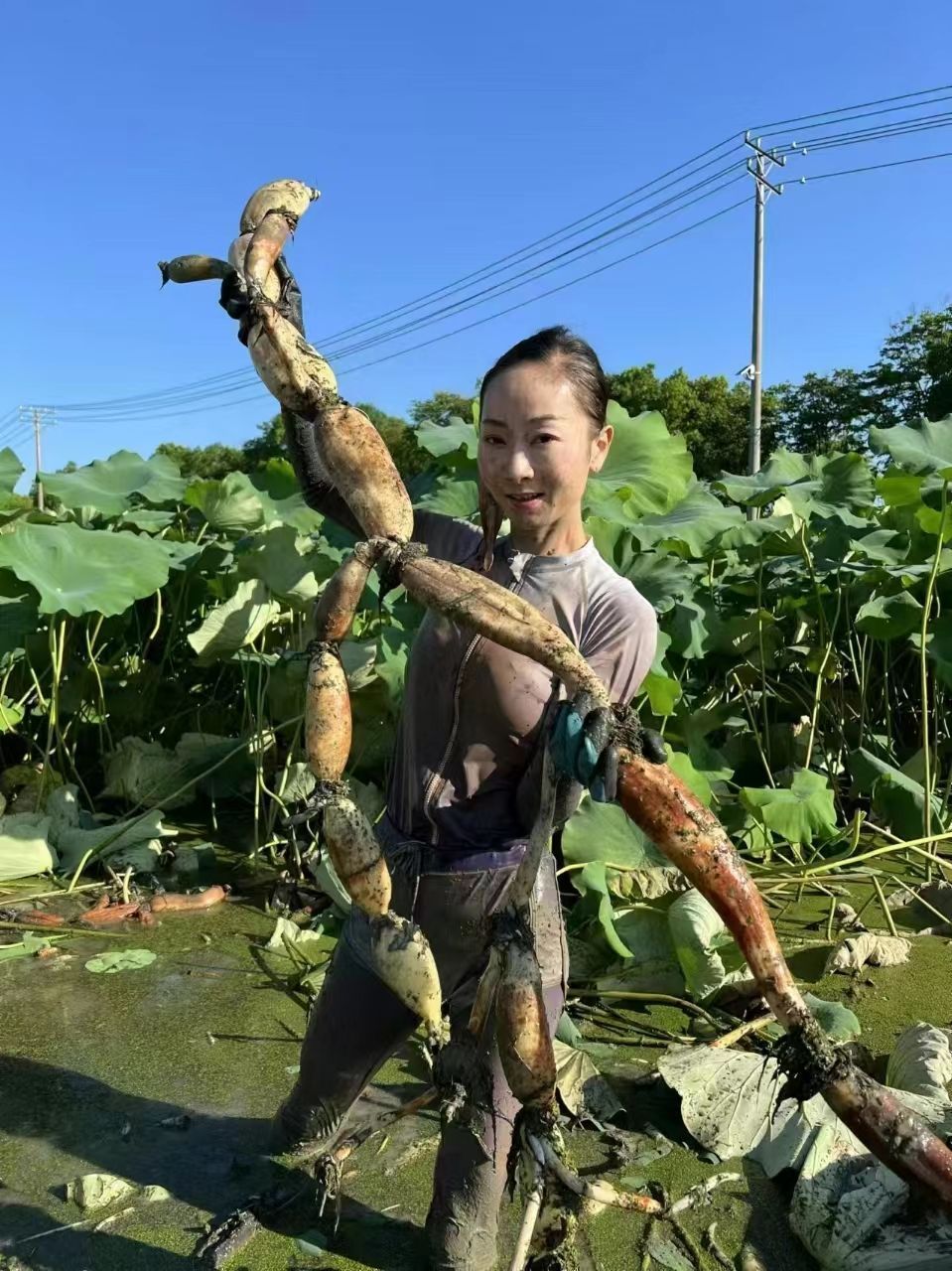 武汉科研团队，藕断丝连重塑肉身，科技刷新生命认知新高度