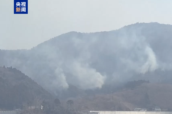 日本遭遇五十年最惨重山火，危机四伏待解之谜！究竟何去何从？深度剖析事件内幕。