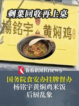 杨铭宇黄焖鸡米饭遭挂牌督办，背后真相深度解析！你不可不知的九大看点！